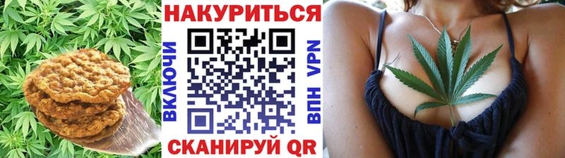 Купить где  Коркино  Cannafood конопля 