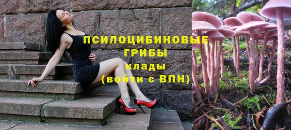 твердый Каменка
