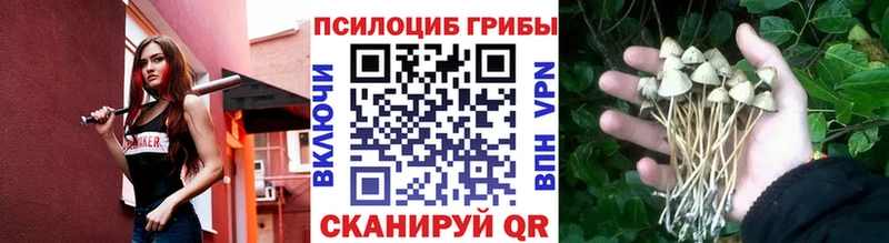 Псилоцибиновые грибы ЛСД  Купить где  Коркино 