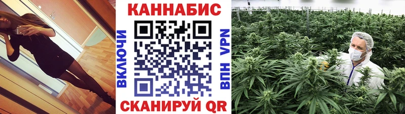 МАРИХУАНА сатива Коркино